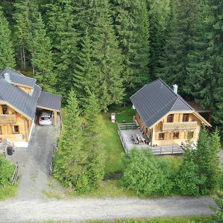 Almhaus&Almchalet Flattnitz Exterior foto